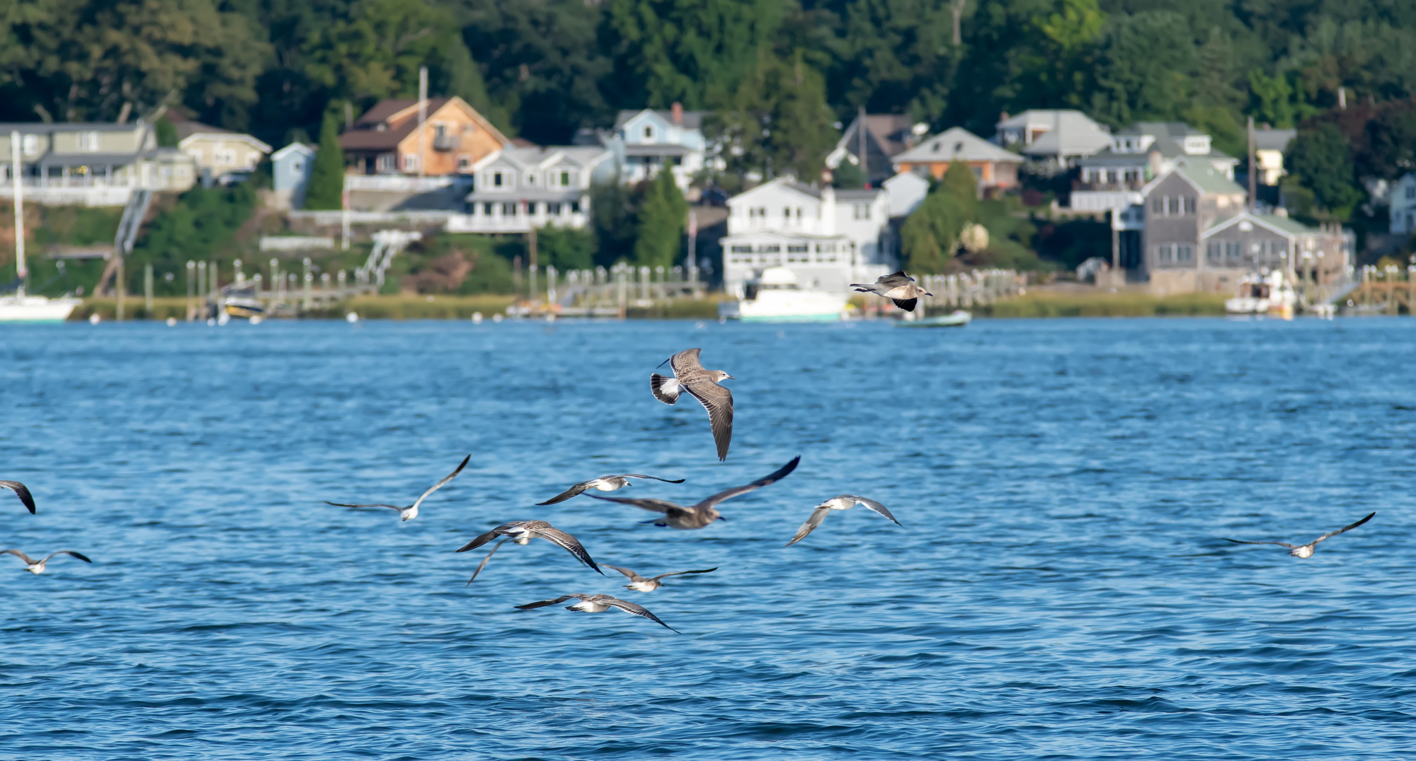 View of West Warwick, RI